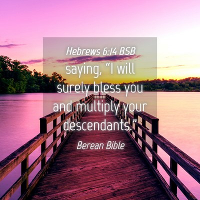 Picture 04 - Hebrews 6:14 BSB - saying, “I will surely bless you and multiply - Bible Verse Picture