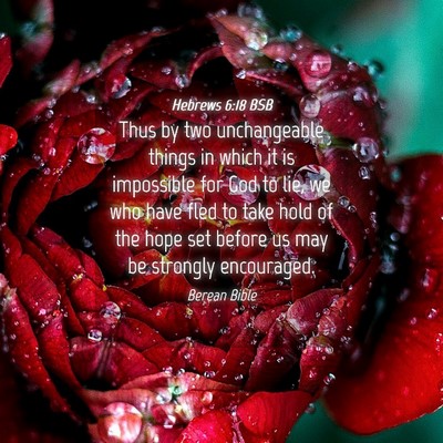 Picture 04 - Hebrews 6:18 BSB - Thus by two unchangeable things in which it is - Bible Verse Picture