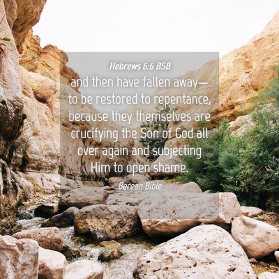 Picture 04 - Hebrews 6:6 BSB - and then have fallen away—to be restored to - Bible Verse Picture