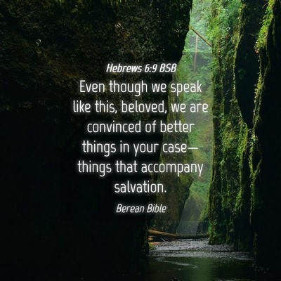 Picture 04 - Hebrews 6:9 BSB - Even though we speak like this, beloved, we are - Bible Verse Picture