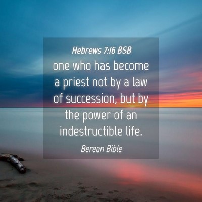 Picture 04 - Hebrews 7:16 BSB - one who has become a priest not by a law of - Bible Verse Picture