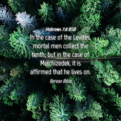 Picture 04 - Hebrews 7:8 BSB - In the case of the Levites, mortal men collect - Bible Verse Picture
