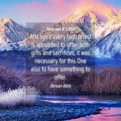 Picture 04 - Hebrews 8:3 BSB - And since every high priest is appointed to offer - Bible Verse Picture