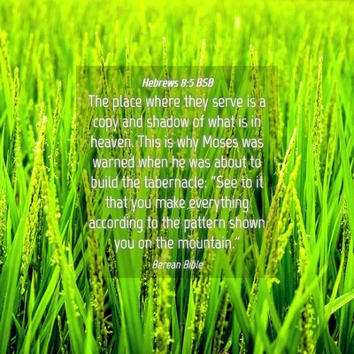 Picture 04 - Hebrews 8:5 BSB - The place where they serve is a copy and shadow - Bible Verse Picture