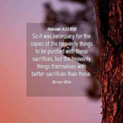 Picture 04 - Hebrews 9:23 BSB - So it was necessary for the copies of the - Bible Verse Picture