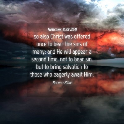 Picture 04 - Hebrews 9:28 BSB - so also Christ was offered once to bear the sins - Bible Verse Picture