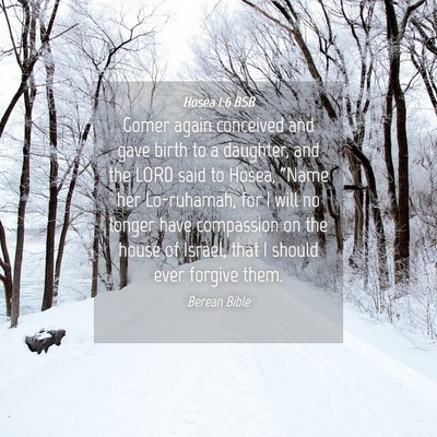 Picture 04 - Hosea 1:6 BSB - Gomer again conceived and gave birth to a - Bible Verse Picture
