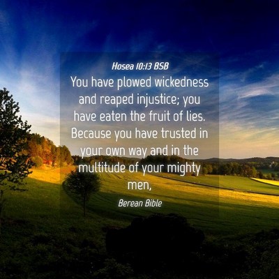Picture 04 - Hosea 10:13 BSB - You have plowed wickedness and reaped injustice; - Bible Verse Picture