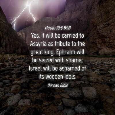Picture 04 - Hosea 10:6 BSB - Yes, it will be carried to Assyria as tribute to - Bible Verse Picture