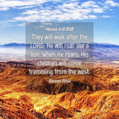 Picture 04 - Hosea 11:10 BSB - They will walk after the LORD; He will roar like - Bible Verse Picture
