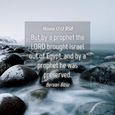 Picture 04 - Hosea 12:13 BSB - But by a prophet the LORD brought Israel out of - Bible Verse Picture