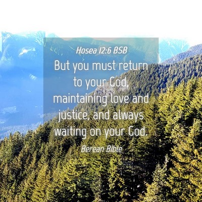 Picture 04 - Hosea 12:6 BSB - But you must return to your God, maintaining love - Bible Verse Picture