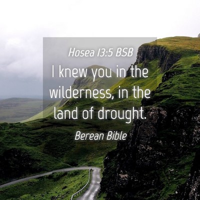 Picture 04 - Hosea 13:5 BSB - I knew you in the wilderness, in the land of - Bible Verse Picture
