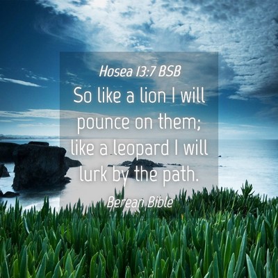 Picture 04 - Hosea 13:7 BSB - So like a lion I will pounce on them; like a - Bible Verse Picture