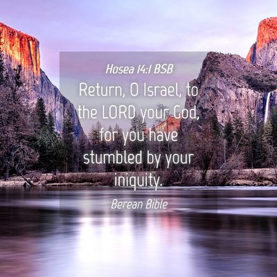 Picture 04 - Hosea 14:1 BSB - Return, O Israel, to the LORD your God, for you - Bible Verse Picture