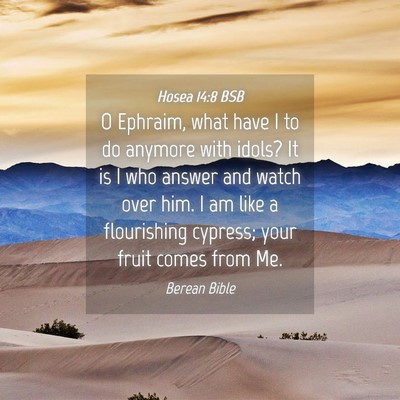Picture 04 - Hosea 14:8 BSB - O Ephraim, what have I to do anymore with idols? - Bible Verse Picture