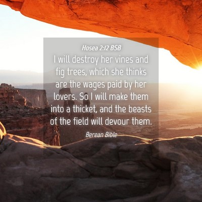Picture 04 - Hosea 2:12 BSB - I will destroy her vines and fig trees, which she - Bible Verse Picture