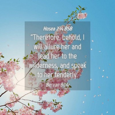 Picture 04 - Hosea 2:14 BSB - “Therefore, behold, I will allure her and lead - Bible Verse Picture