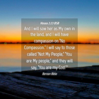 Picture 04 - Hosea 2:23 BSB - And I will sow her as My own in the land, and I - Bible Verse Picture