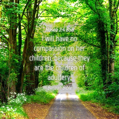 Picture 04 - Hosea 2:4 BSB - I will have no compassion on her children, - Bible Verse Picture