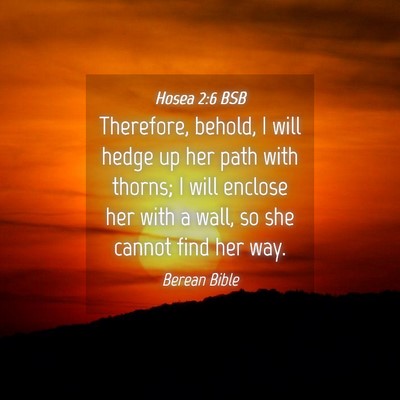 Picture 04 - Hosea 2:6 BSB - Therefore, behold, I will hedge up her path with - Bible Verse Picture