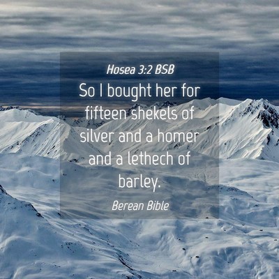 Picture 04 - Hosea 3:2 BSB - So I bought her for fifteen shekels of silver and - Bible Verse Picture