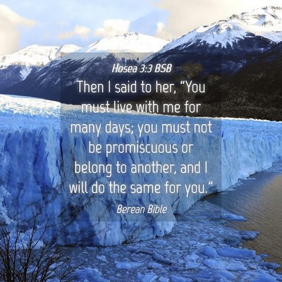 Picture 04 - Hosea 3:3 BSB - Then I said to her, “You must live with me for - Bible Verse Picture