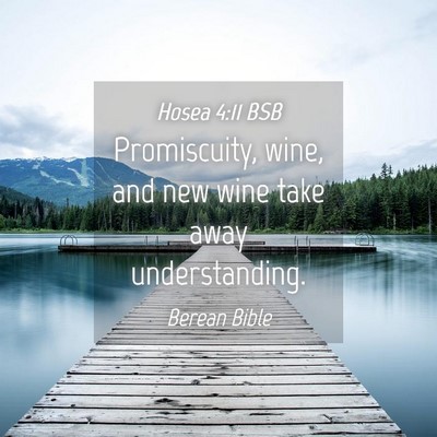 Picture 04 - Hosea 4:11 BSB - Promiscuity, wine, and new wine take away - Bible Verse Picture