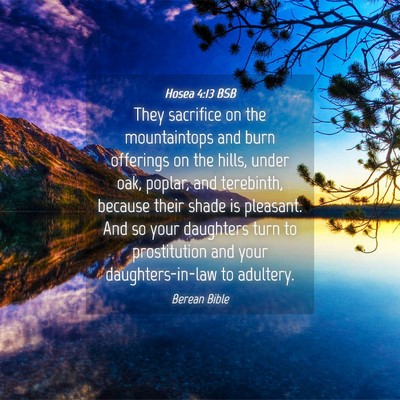 Picture 04 - Hosea 4:13 BSB - They sacrifice on the mountaintops and burn - Bible Verse Picture