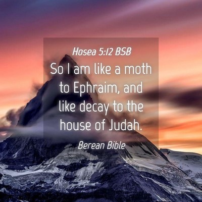 Picture 04 - Hosea 5:12 BSB - So I am like a moth to Ephraim, and like decay to - Bible Verse Picture