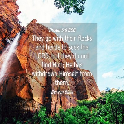 Picture 04 - Hosea 5:6 BSB - They go with their flocks and herds to seek the - Bible Verse Picture