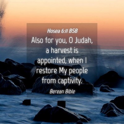 Picture 04 - Hosea 6:11 BSB - Also for you, O Judah, a harvest is appointed, - Bible Verse Picture