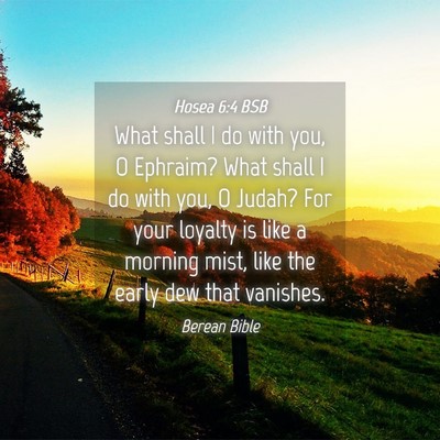 Picture 04 - Hosea 6:4 BSB - What shall I do with you, O Ephraim? What shall I - Bible Verse Picture