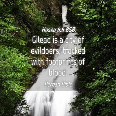 Picture 04 - Hosea 6:8 BSB - Gilead is a city of evildoers, tracked with - Bible Verse Picture