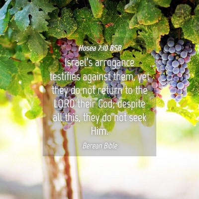 Picture 04 - Hosea 7:10 BSB - Israel’s arrogance testifies against them, yet - Bible Verse Picture