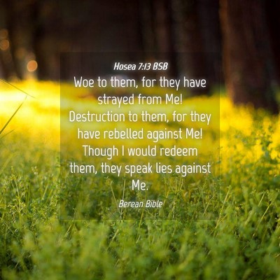 Picture 04 - Hosea 7:13 BSB - Woe to them, for they have strayed from Me! - Bible Verse Picture