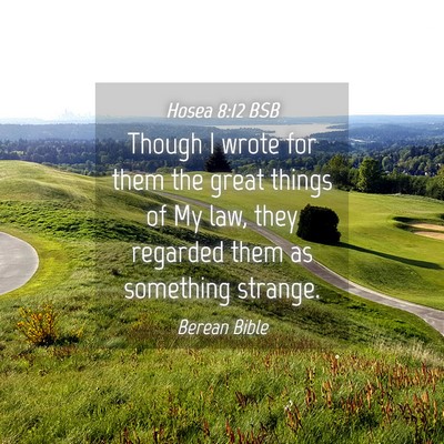 Picture 04 - Hosea 8:12 BSB - Though I wrote for them the great things of My - Bible Verse Picture