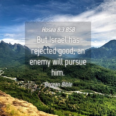 Picture 04 - Hosea 8:3 BSB - But Israel has rejected good; an enemy will - Bible Verse Picture