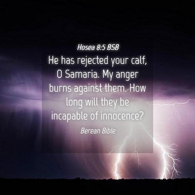 Picture 04 - Hosea 8:5 BSB - He has rejected your calf, O Samaria. My anger - Bible Verse Picture