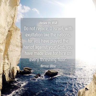 Picture 04 - Hosea 9:1 BSB - Do not rejoice, O Israel, with exultation like - Bible Verse Picture