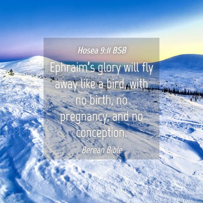 Picture 04 - Hosea 9:11 BSB - Ephraim’s glory will fly away like a bird, with - Bible Verse Picture
