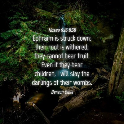 Picture 04 - Hosea 9:16 BSB - Ephraim is struck down; their root is withered; - Bible Verse Picture