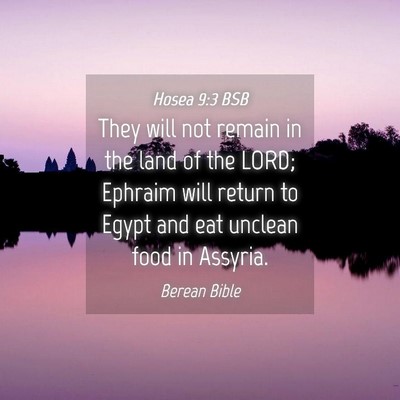 Picture 04 - Hosea 9:3 BSB - They will not remain in the land of the LORD; - Bible Verse Picture