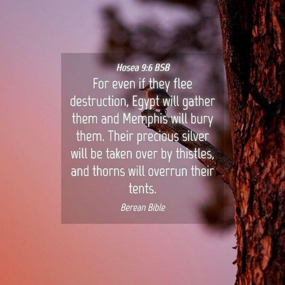 Picture 04 - Hosea 9:6 BSB - For even if they flee destruction, Egypt will - Bible Verse Picture