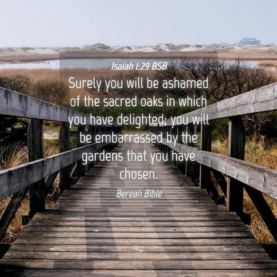 Picture 04 - Isaiah 1:29 BSB - Surely you will be ashamed of the sacred oaks in - Bible Verse Picture