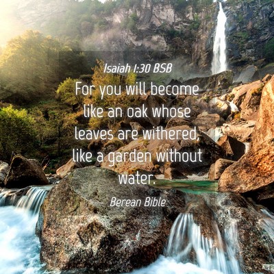 Picture 04 - Isaiah 1:30 BSB - For you will become like an oak whose leaves are - Bible Verse Picture