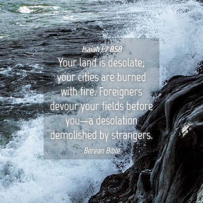 Picture 04 - Isaiah 1:7 BSB - Your land is desolate; your cities are burned - Bible Verse Picture