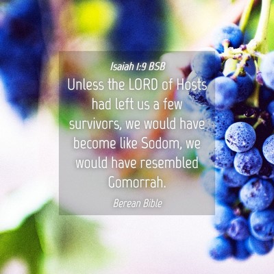 Picture 04 - Isaiah 1:9 BSB - Unless the LORD of Hosts had left us a few - Bible Verse Picture