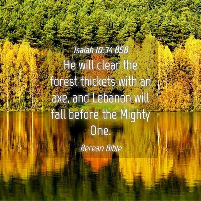 Picture 04 - Isaiah 10:34 BSB - He will clear the forest thickets with an axe, - Bible Verse Picture