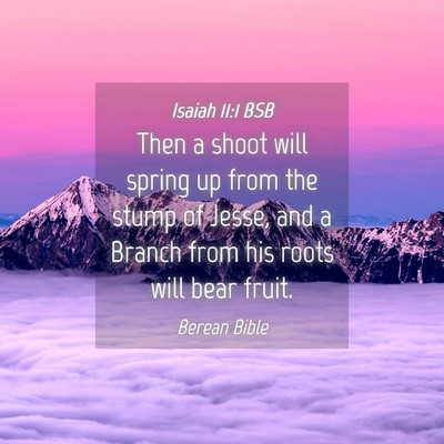 Picture 04 - Isaiah 11:1 BSB - Then a shoot will spring up from the stump of - Bible Verse Picture
